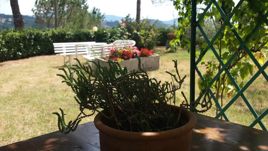 Agriturismo Il Catrino Ponteginori Exteriör bild