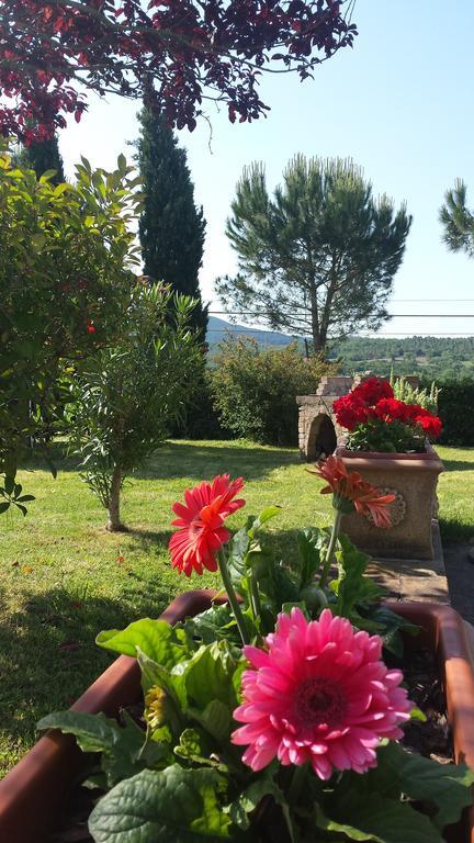 Agriturismo Il Catrino Ponteginori Exteriör bild