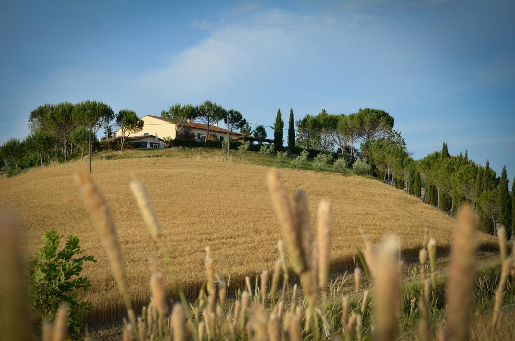 Agriturismo Il Catrino Ponteginori Exteriör bild