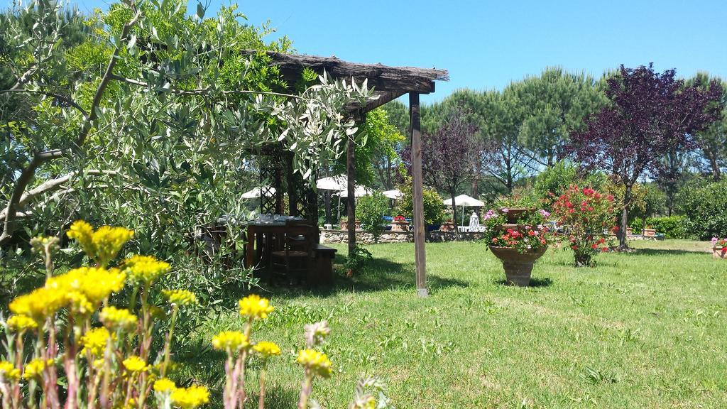 Agriturismo Il Catrino Ponteginori Exteriör bild