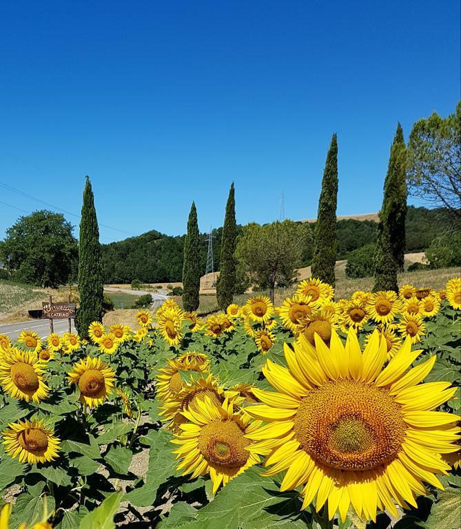 Agriturismo Il Catrino Ponteginori Exteriör bild