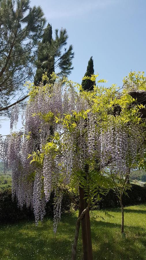 Agriturismo Il Catrino Ponteginori Exteriör bild