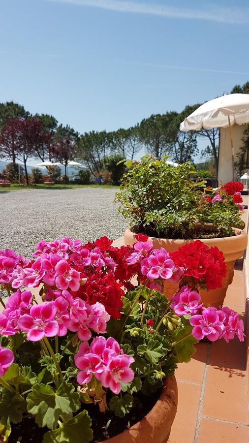 Agriturismo Il Catrino Ponteginori Exteriör bild