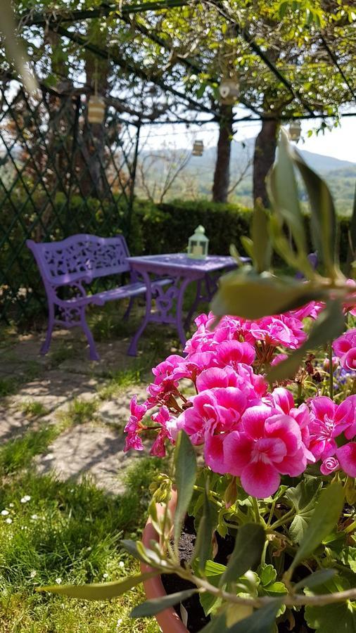 Agriturismo Il Catrino Ponteginori Exteriör bild