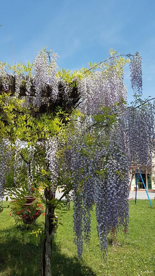 Agriturismo Il Catrino Ponteginori Exteriör bild