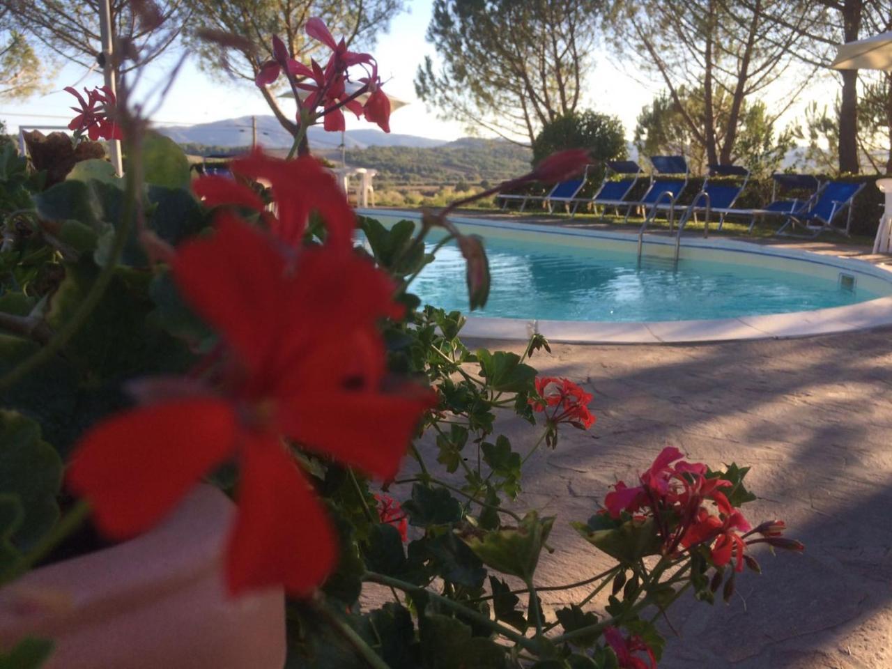 Agriturismo Il Catrino Ponteginori Exteriör bild